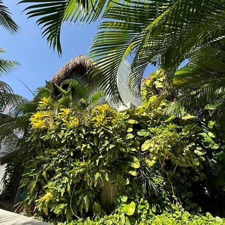 Casa Nona Rosa Διαμέρισμα Κανκούν Εξωτερικό φωτογραφία